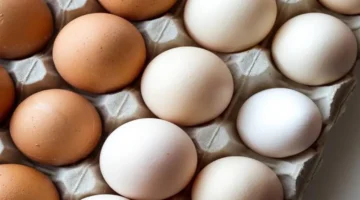 تحديثات البورصة.. أسعار كرتونة البيض في الأسواق اليوم السبت قبل حلول رمضان 2026